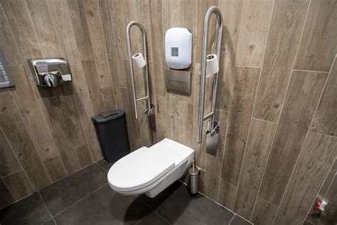 5 Best Handicap Toilets to Buy in 2024 .